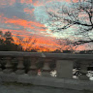 Meet your Posher, Sydney